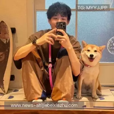 舒舜飚